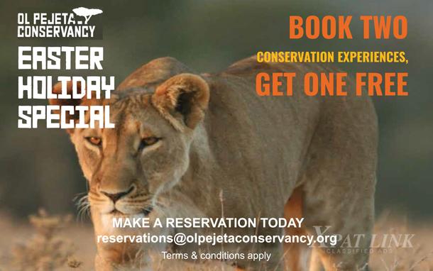 Book Two  get One FREE!!