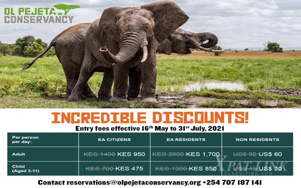 Incredible Discounts