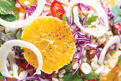 VEGAN FENNEL AND ORANGE SALAD